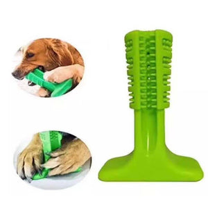 Kau-Zahnbürste | PetTrends ®